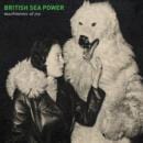 British Sea Power - Machineries Of Joy
